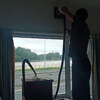 Liverpool Cathedral: Bee hive removal from a tree
