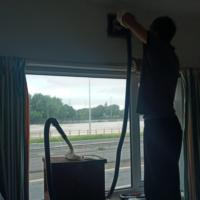 Liverpool Cathedral: Bee hive removal from a tree