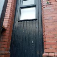 Liverpool Cathedral: Bee hive removal from a tree