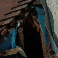 Liverpool Cathedral: Bee hive removal from a tree